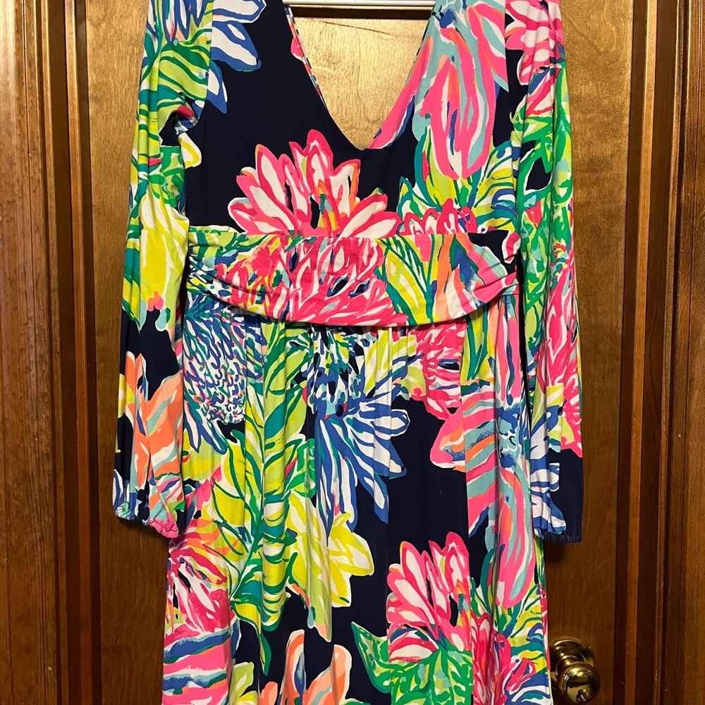 NWT Lily Pulitzer Size L Dress
